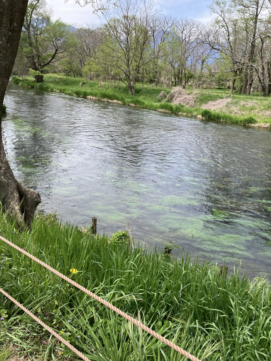 しずる@あっきー tweet media