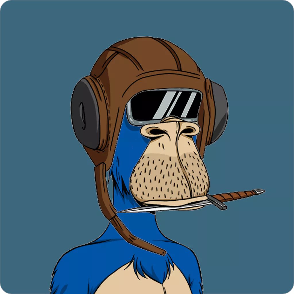 sacalengua🏴‍☠️ tweet media