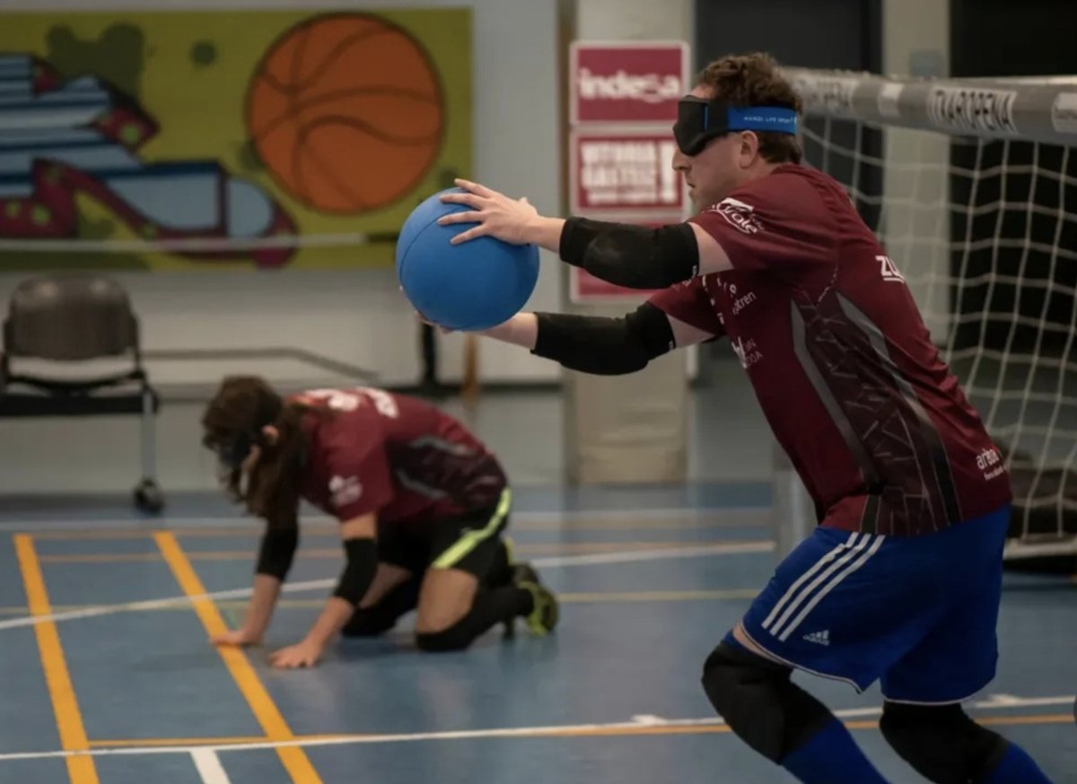 Electro Alavesa Seguridad tweet media