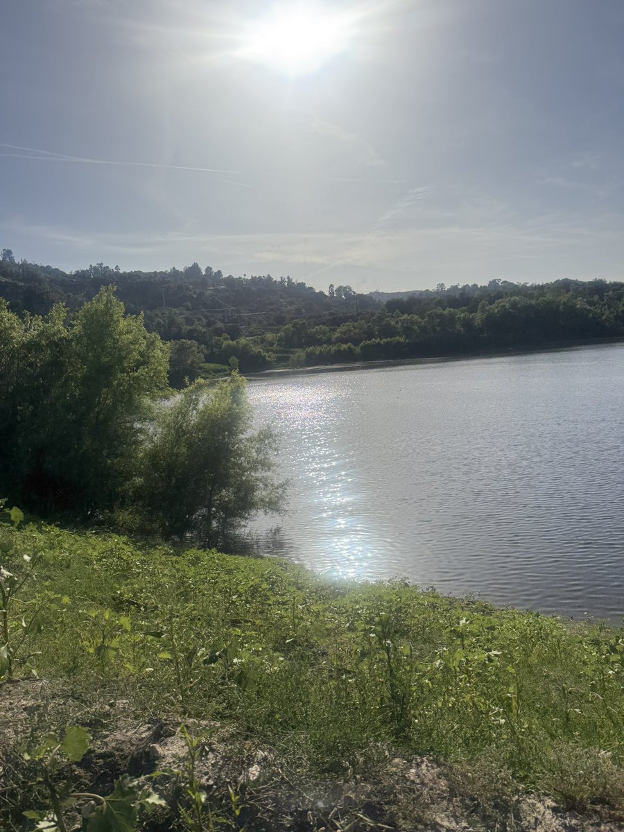 starwillstarve's tweet photo. went hiking today w my bf it was so fun &amp; i let myself just not count cals today bc i was just having sm fun but tmr back to business 🙏 https://t.co/7Tu8R7PWfY