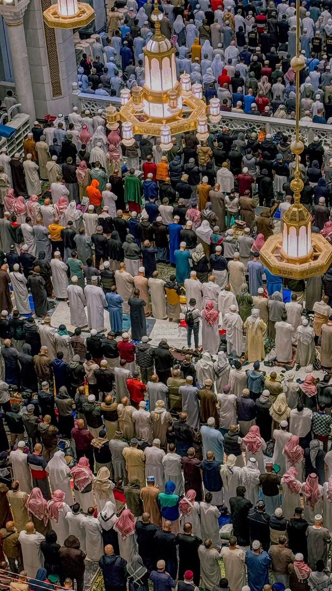 almonajjid's tweet photo. قال ﷺ: (إن الله لينادي يوم القيامة: أين جيراني؟ أين جيراني؟ قال: فتقول الملائكة: ربنا، ومن ينبغي أن يجاورك؟ فيقول: أين عُمّار المساجد؟).
[الصحيحة] https://t.co/KZwqnCw2nG