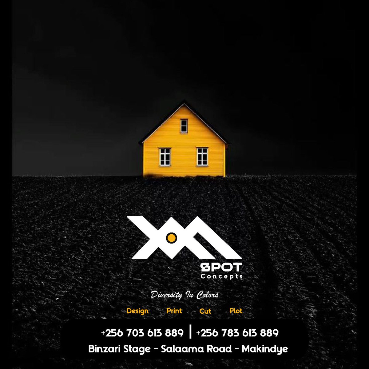 Side Out Africa tweet media