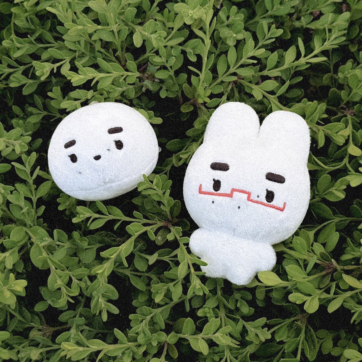 몸몽즈 tweet media