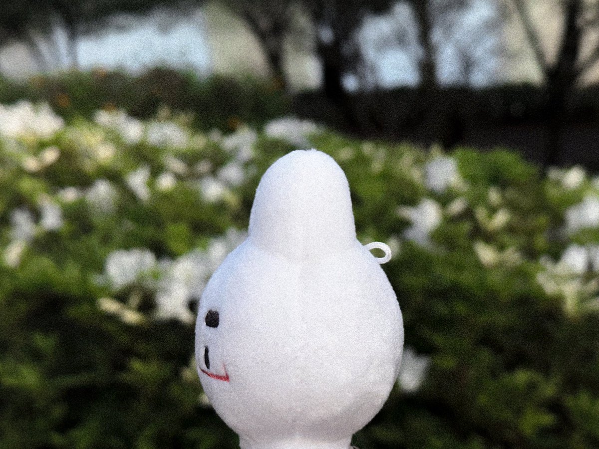 몸몽즈 tweet media