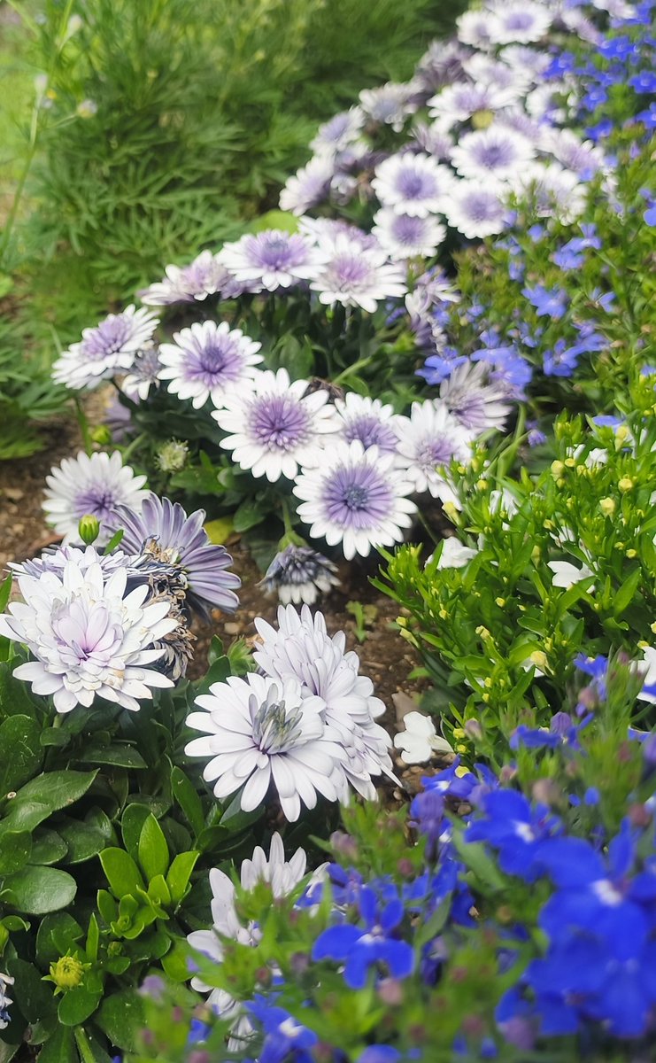 Aya@ちゃんと朝起きて夜寝てます tweet media