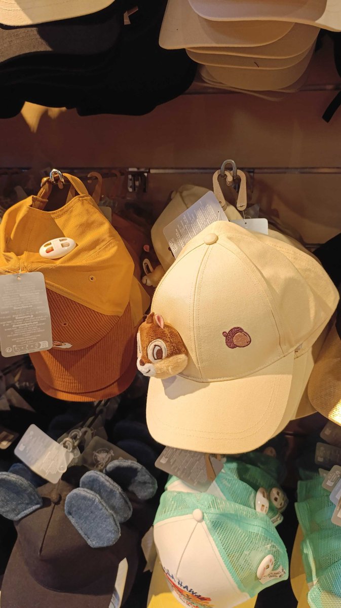 DisneyGazetteFr's tweet image. #DisneylandParis

Pour 35€, repartez avec cette casquette Tic et revivez les aventures de l’un de nos célèbres écureuils! 🐿️ 

#Disney