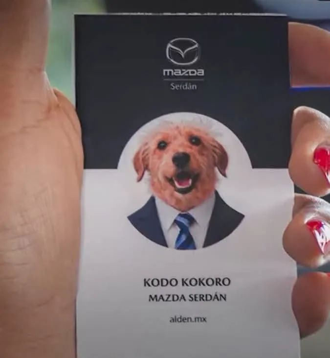 ANIMALITOS SANADORES tweet media