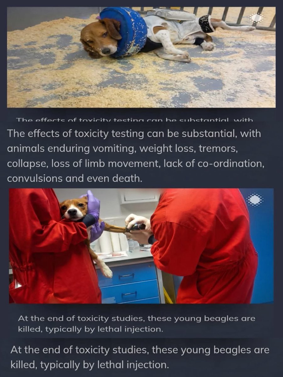 Karen Merrett tweet media