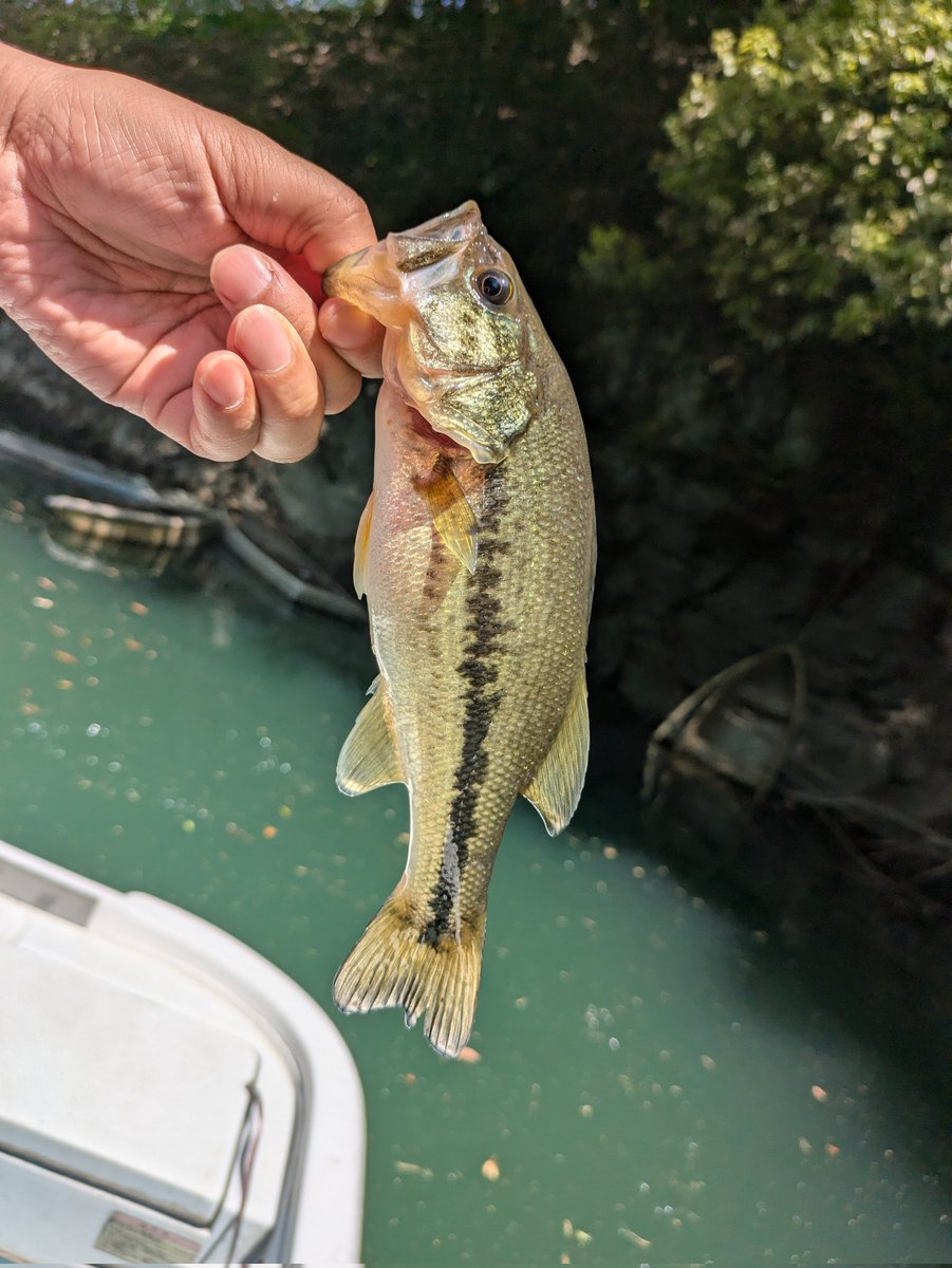 hisamatsu_yoshinori⚽️ tweet media