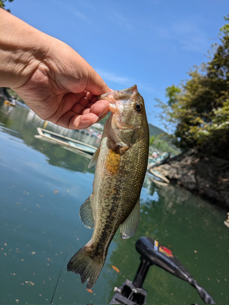 hisamatsu_yoshinori⚽️ tweet media