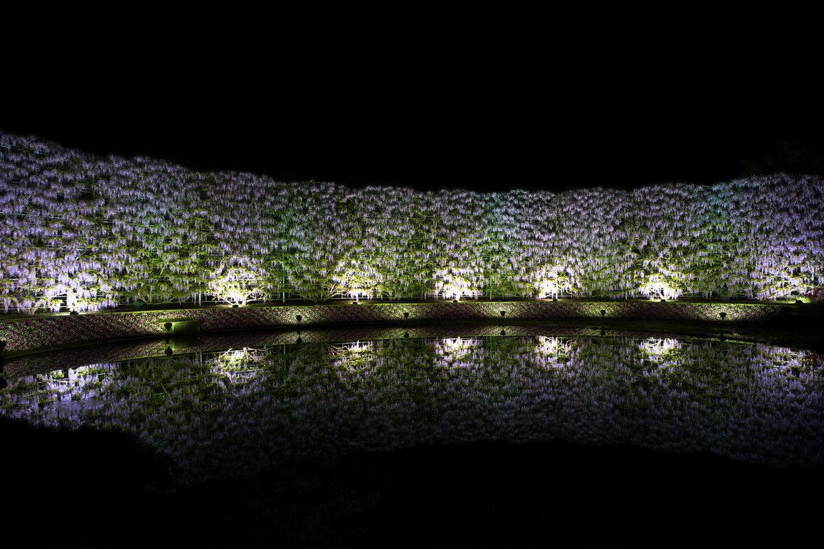 ややすけ tweet media