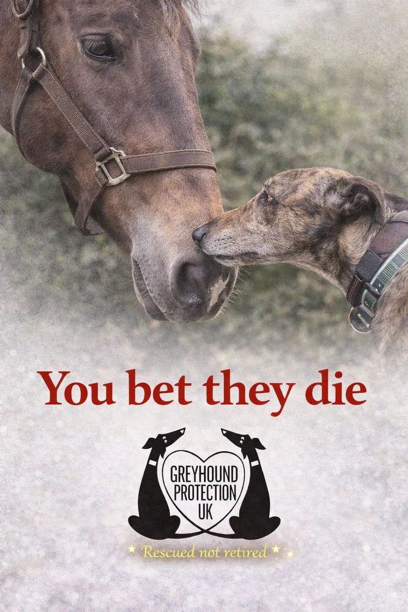 Greyhound Protection UK tweet media
