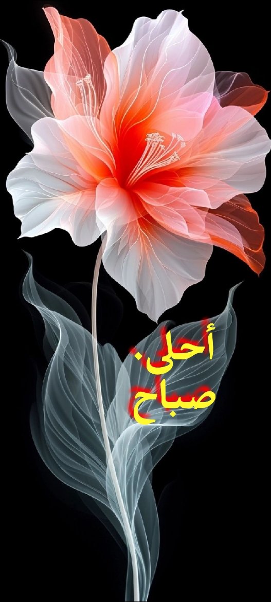 💥فداااء💥حساب 2 tweet media