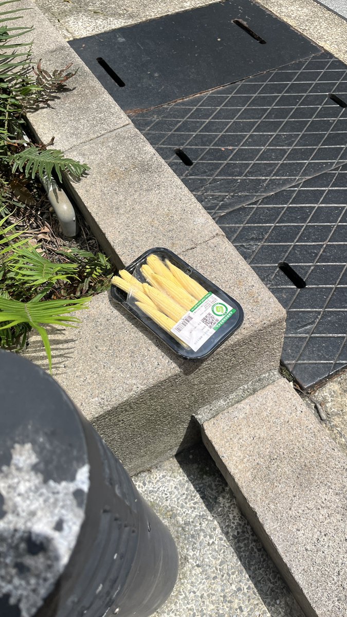 Coco@台湾ブロガー tweet media