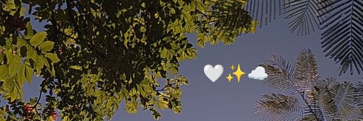 🔸All I Can Say Is OMO🔸 tweet media