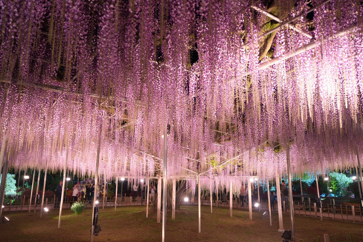 ややすけ tweet media