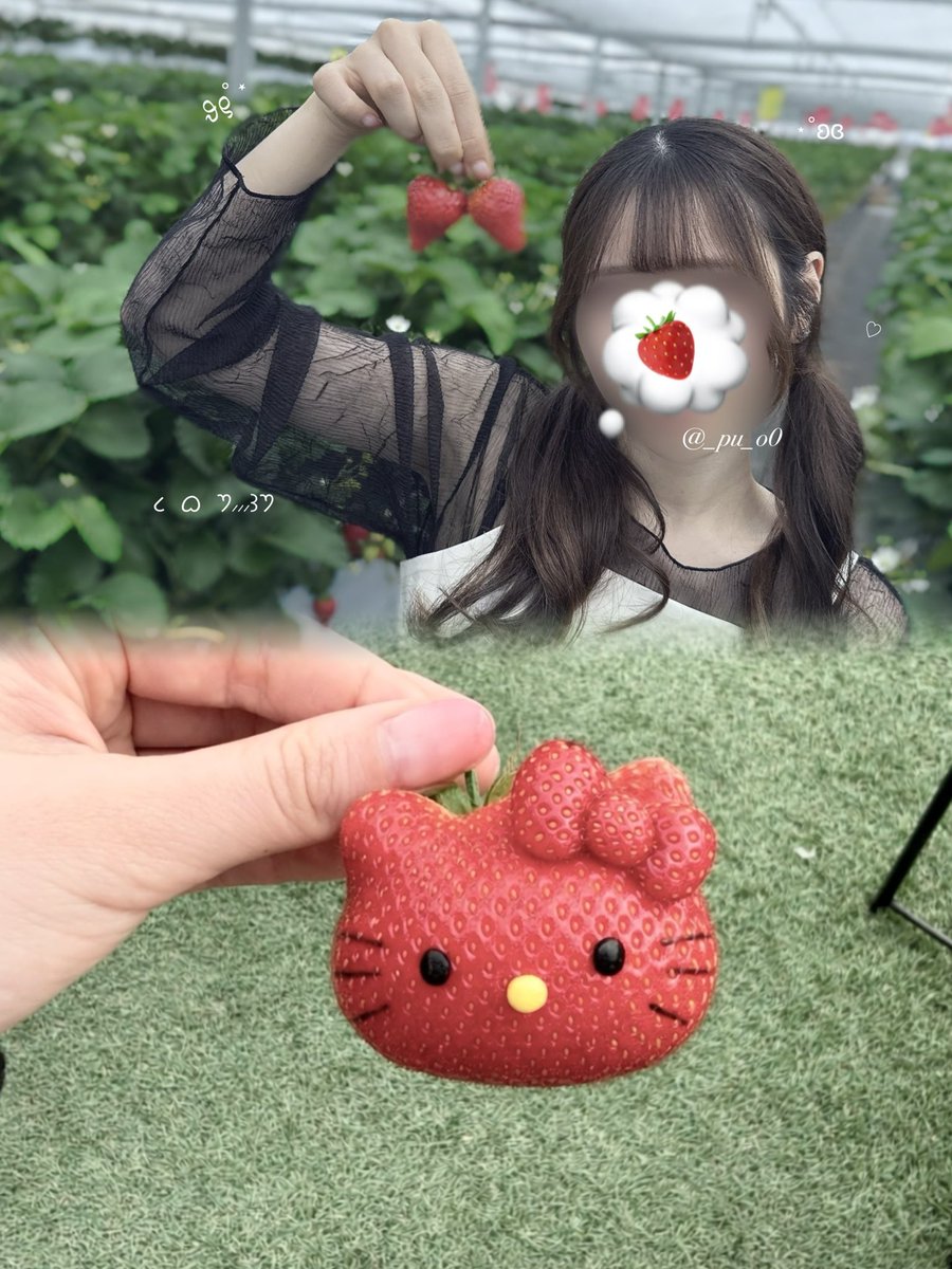 ぷぅー tweet media