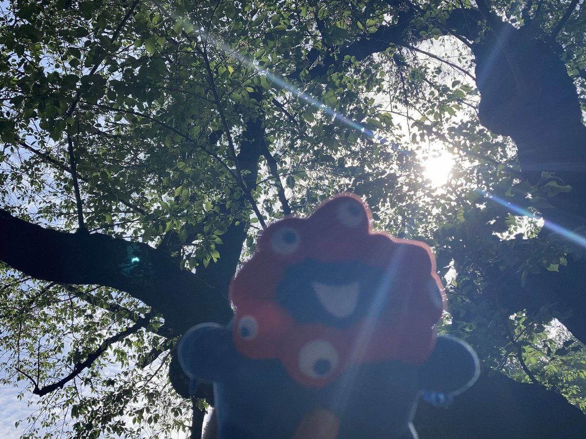 よほた@ナナフェスD-01 tweet media