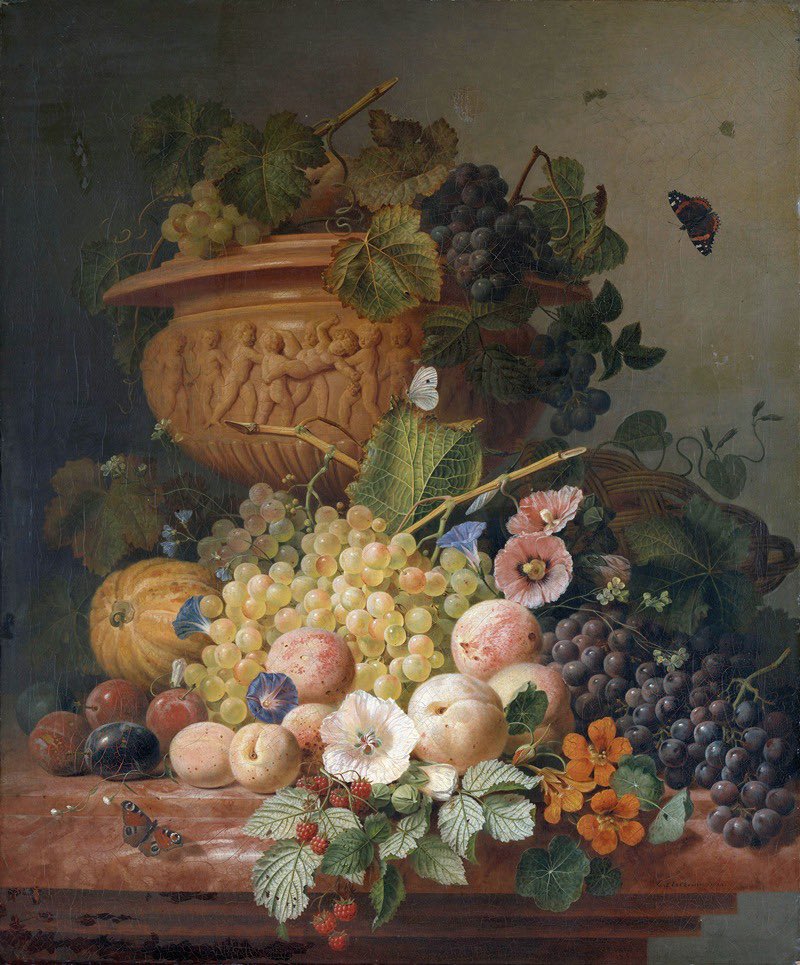 Botanitopya tweet media