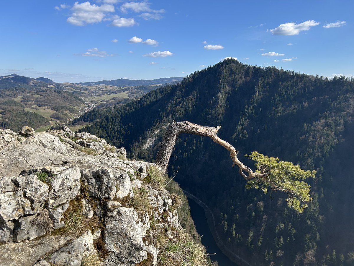bartekstyrna's tweet photo. Beskidy najpiękniejsze, ale czasem zmiana też dobra 😉, a pogoda w ten weekend lepsza niż miała być. #pieniny https://t.co/nIVY8EIzjG
