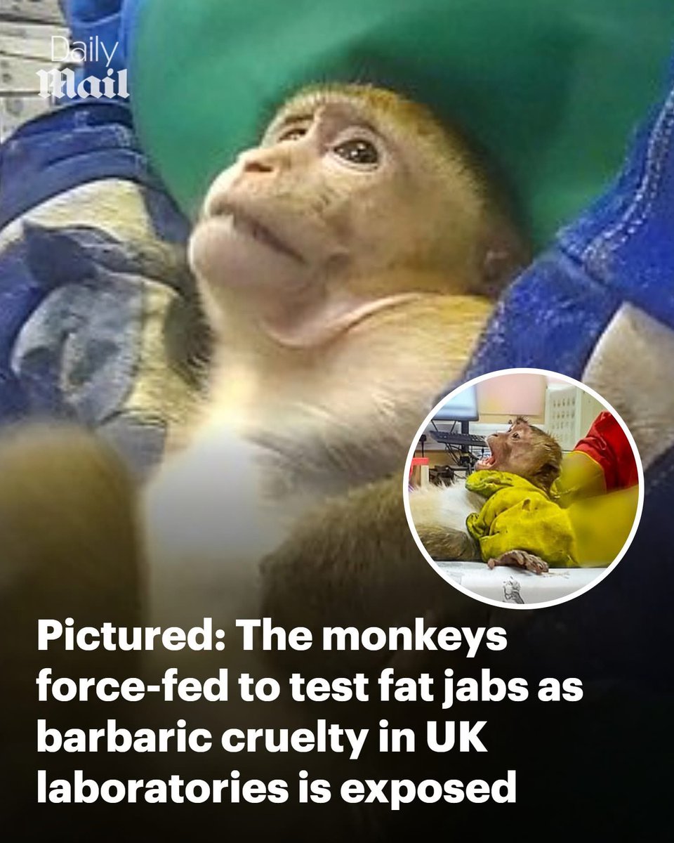 dominic dyer tweet media