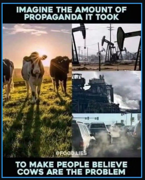 sjaak_jacq's tweet image. #ClimateHysteria #ClimateHoax