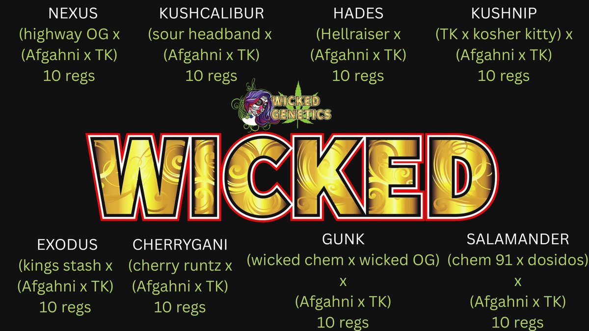 WickedGeneticsOfficial tweet media