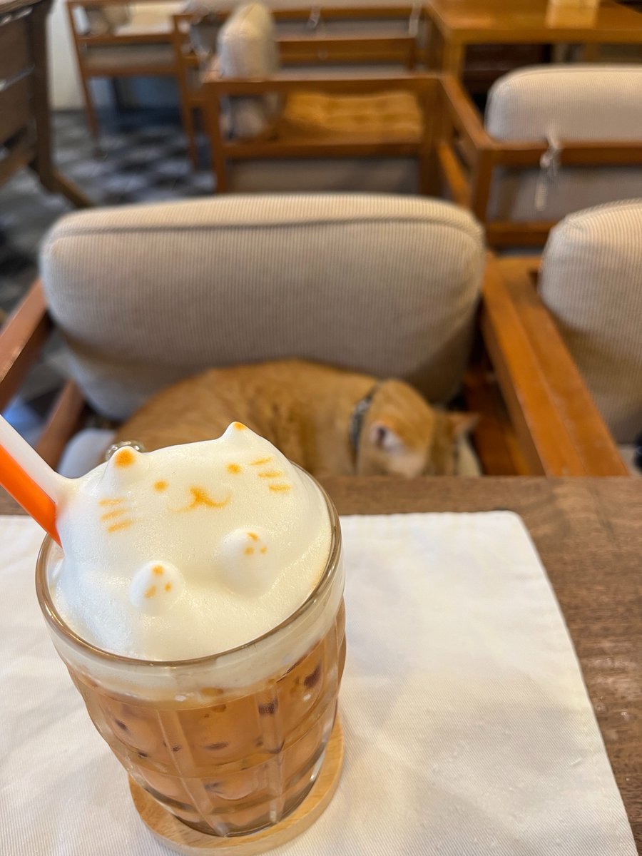 I always realized it's weekend only after seeing this kind of posts 😂 Have a great weekend guys!