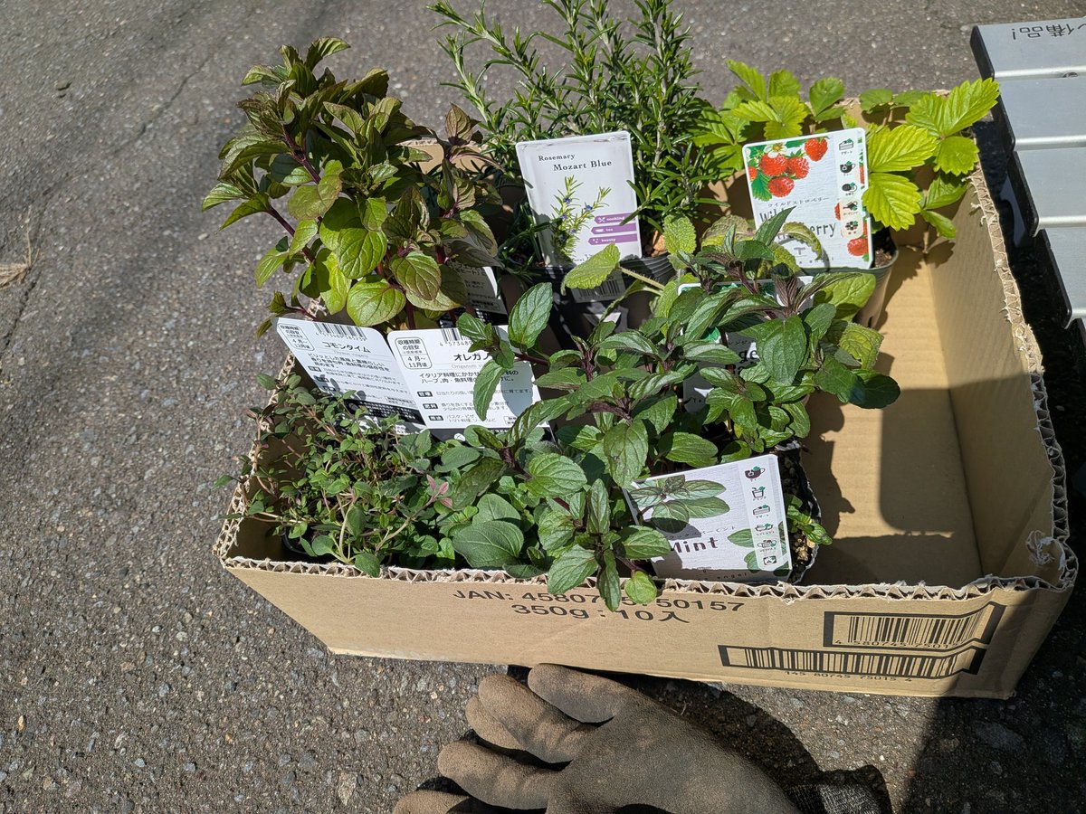 shall〜北国の室内ハーブ園 tweet media