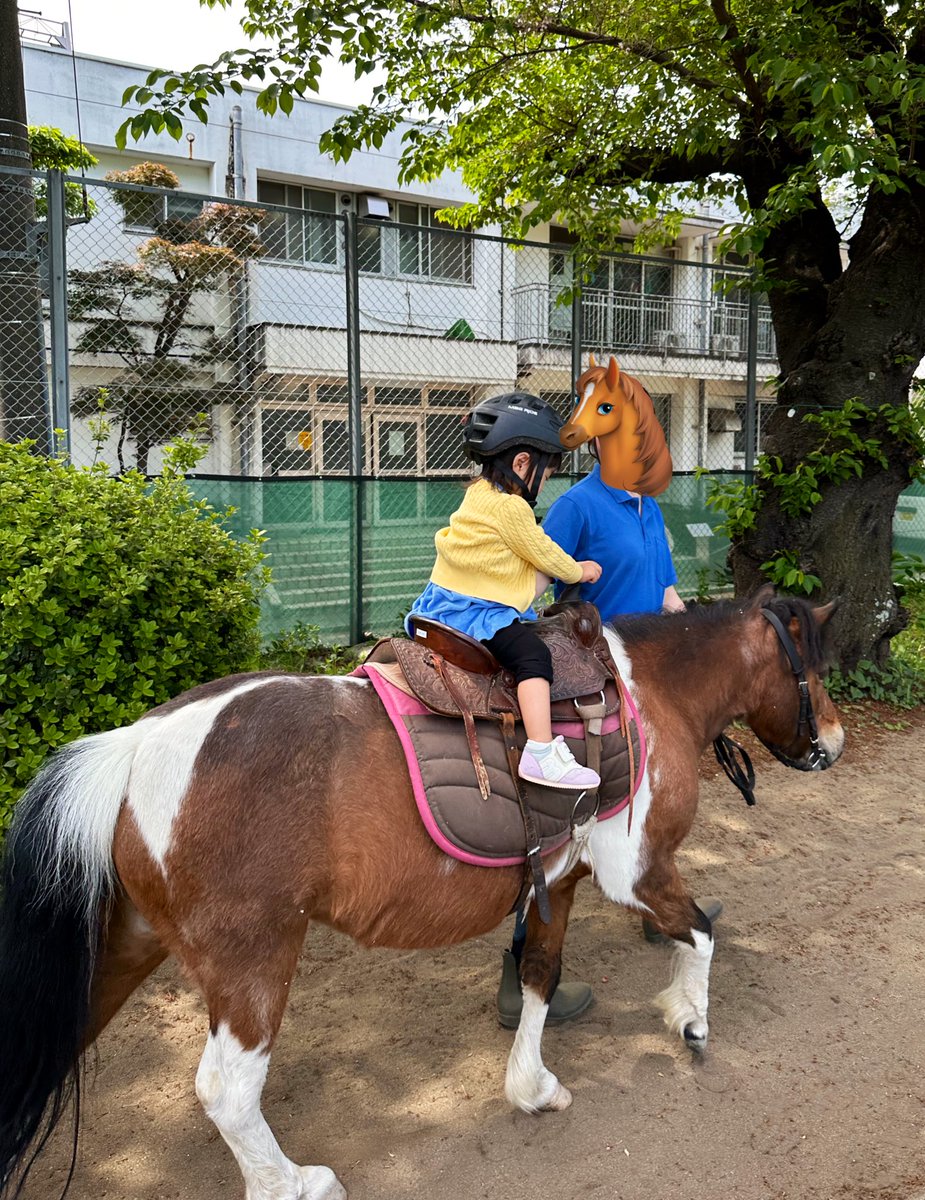 mami_y09's tweet photo. 朝からお弁当作ってみんなで🛝公園
ポニーに乗ったり、モルモットお膝に乗せたり、めちゃくちゃよかった☺️☺️ https://t.co/sNy7cUM0Dq