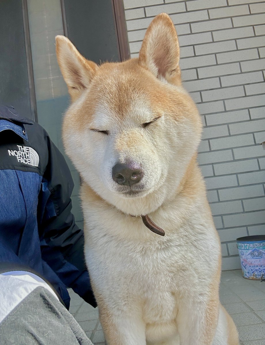 ひろじゃぱん🇯🇵🔥Soleil Gaming tweet media