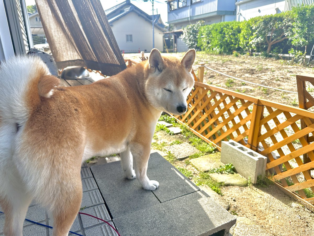 ひろじゃぱん🇯🇵🔥Soleil Gaming tweet media