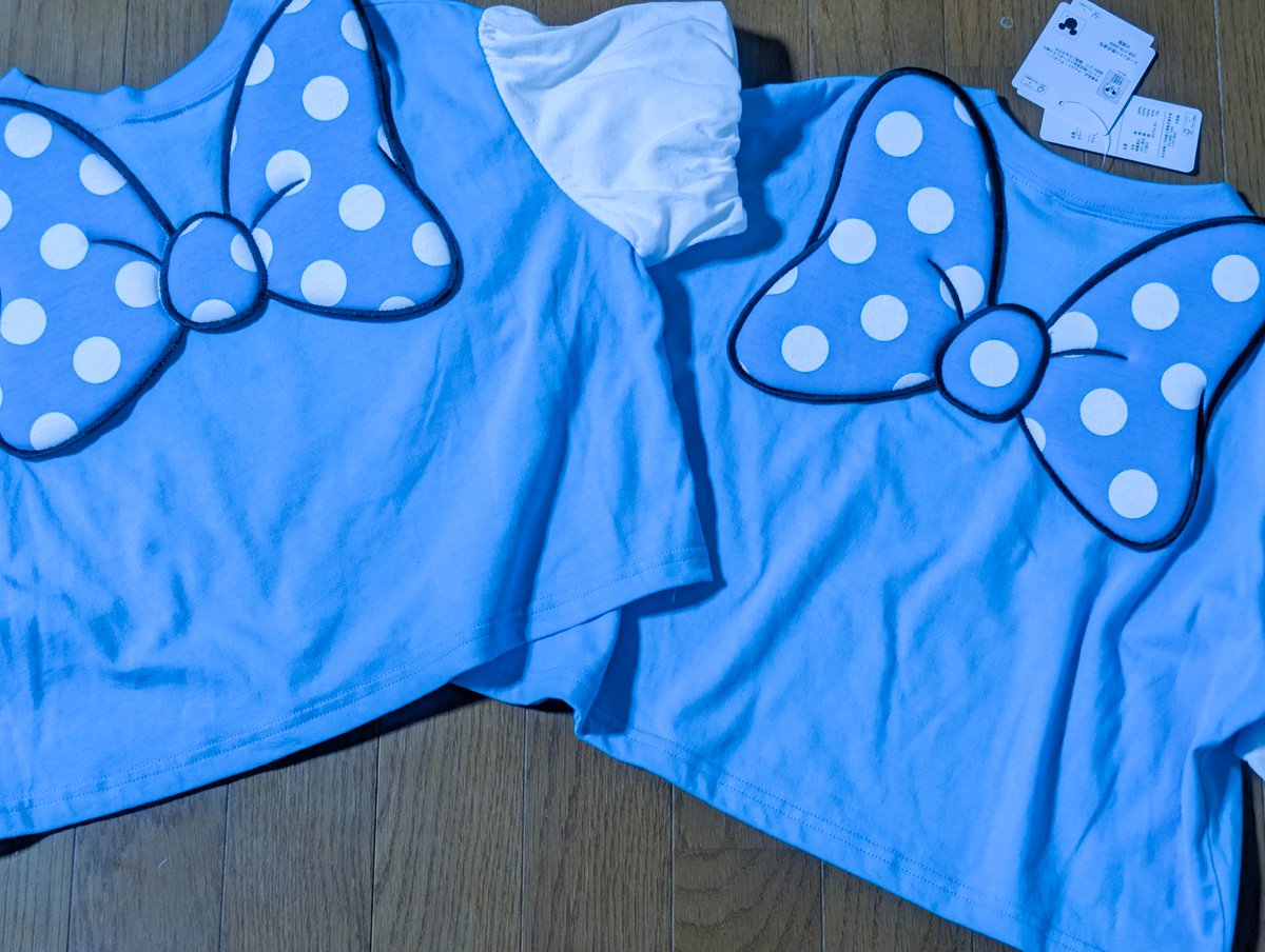 よっすぅぃ〜 🪿 tweet media