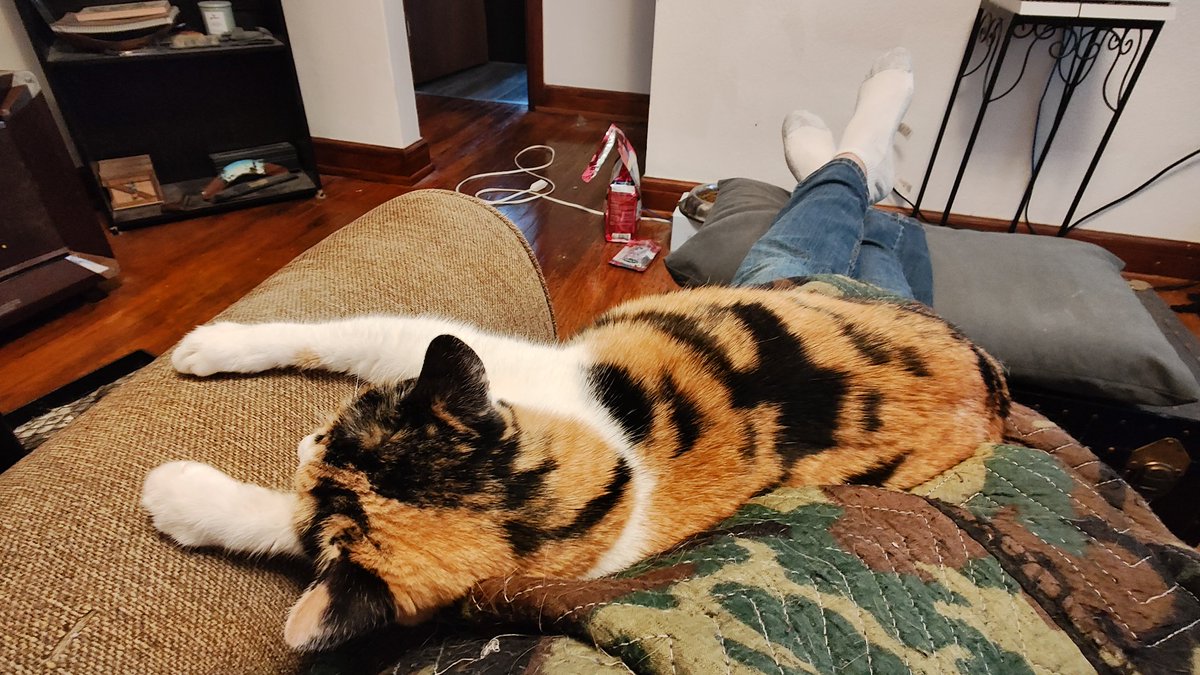 Feline Father tweet media