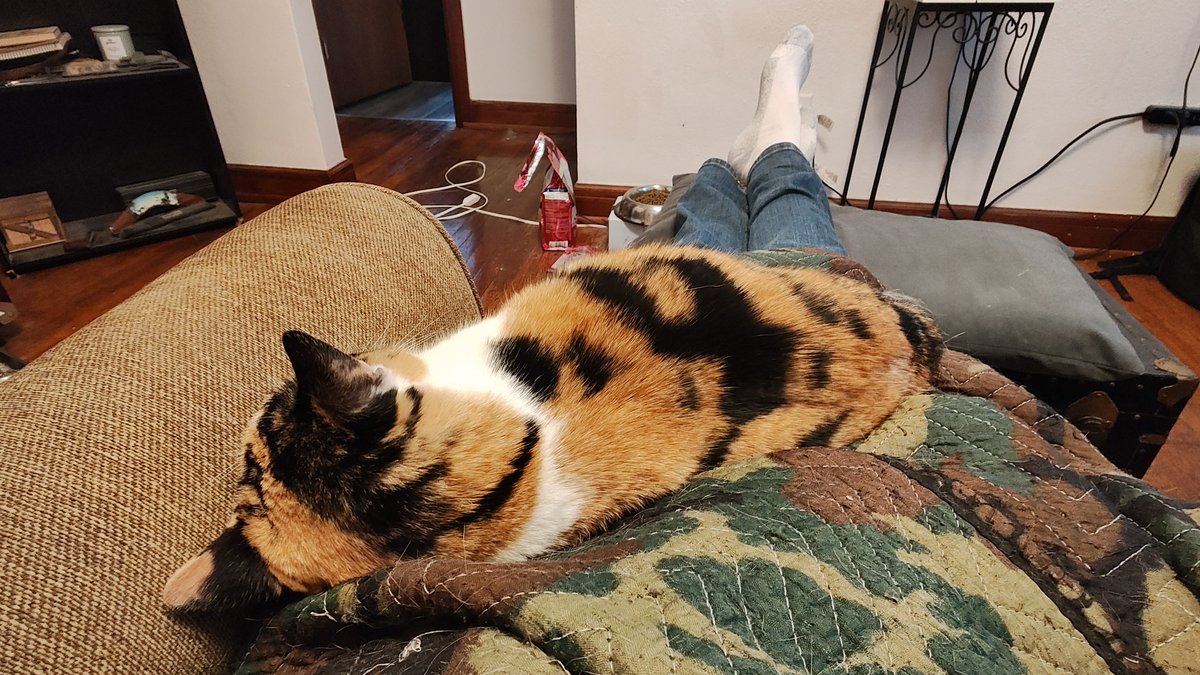 Feline Father tweet media