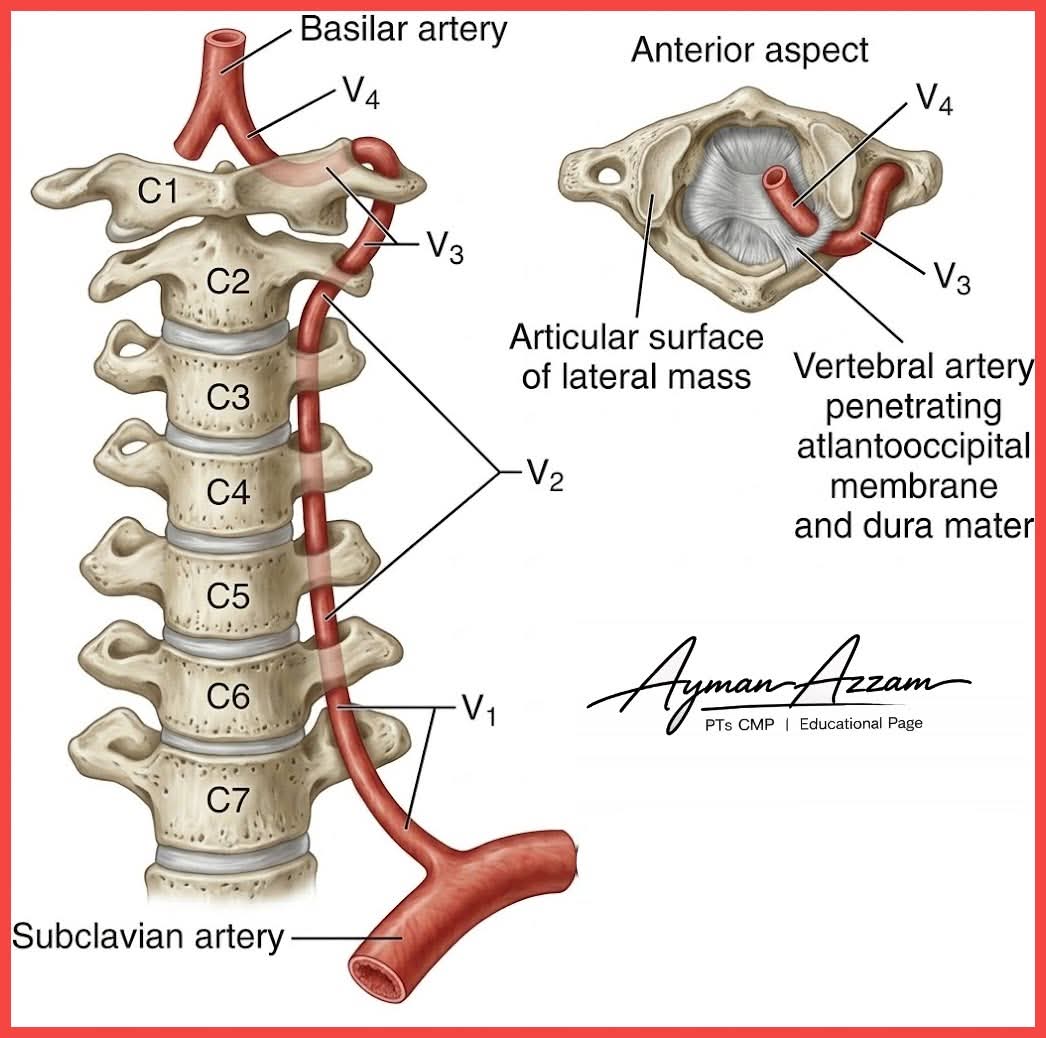 Neurosurgery Cocktail (@bipinchaurasia_) on Twitter photo 