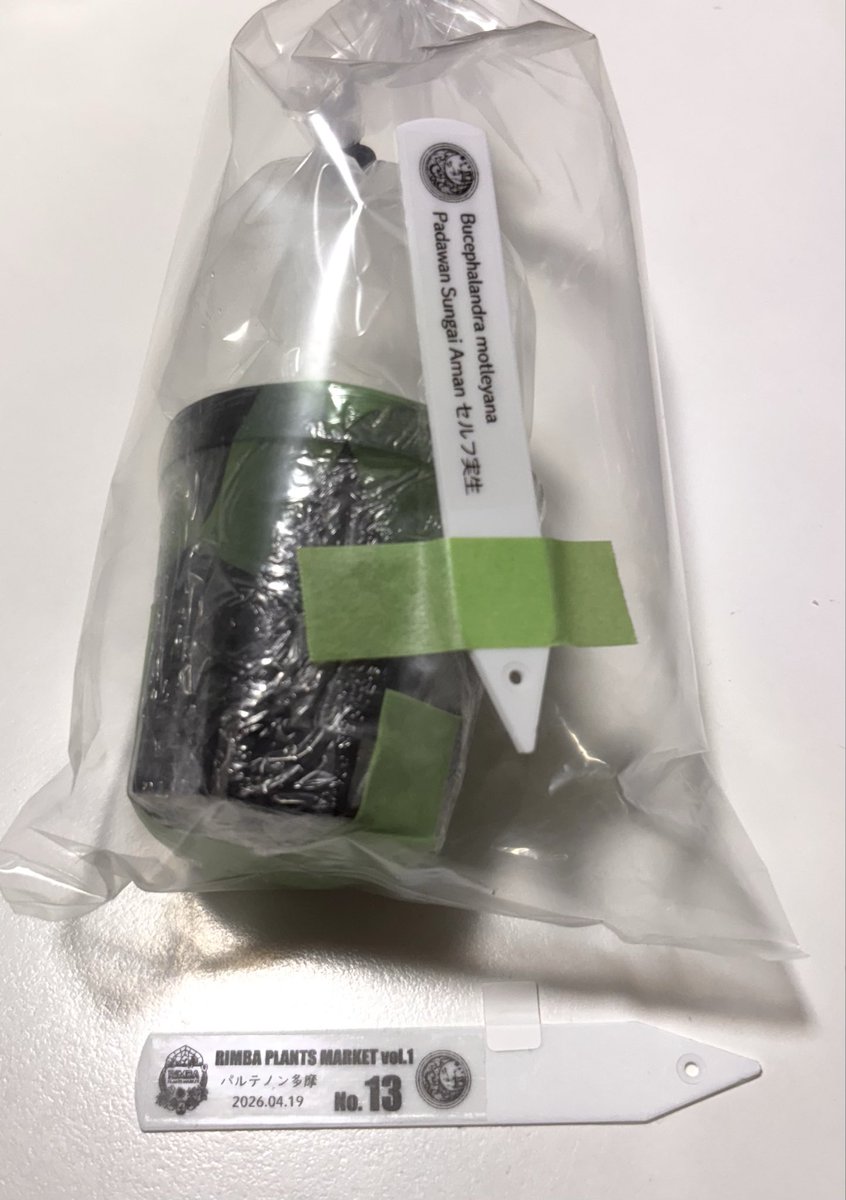 RYOKU33♂ tweet media