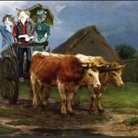 marillion13's tweet image. Good meowing and a happy #Funday #Sunntig (Badenian) #Dimanche from my 3 angel cats Gizzy, Thori and Sisi and me from SW Germany.
😽😽😽💖💖💖
The stupid Fakepoop AI deleted my good 11 year old account completely in 09/24, I do not have money for an attorney to sue them.