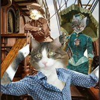 marillion13's tweet image. Good meowing and a happy #Funday #Sunntig (Badenian) #Dimanche from my 3 angel cats Gizzy, Thori and Sisi and me from SW Germany.
😽😽😽💖💖💖
The stupid Fakepoop AI deleted my good 11 year old account completely in 09/24, I do not have money for an attorney to sue them.