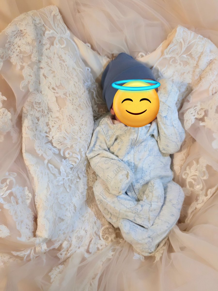 Mochiismo's tweet photo. Celebrated my 7 year anniversary with Baby Mochii this year 🩵 https://t.co/CtjHxc9VT3