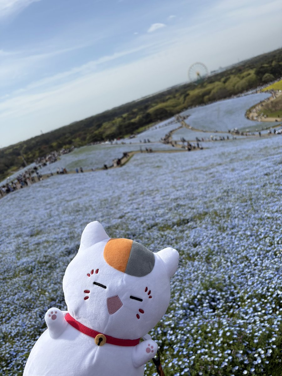 ゆん⭐️🪐/ゆんゆんちゃんねる tweet media