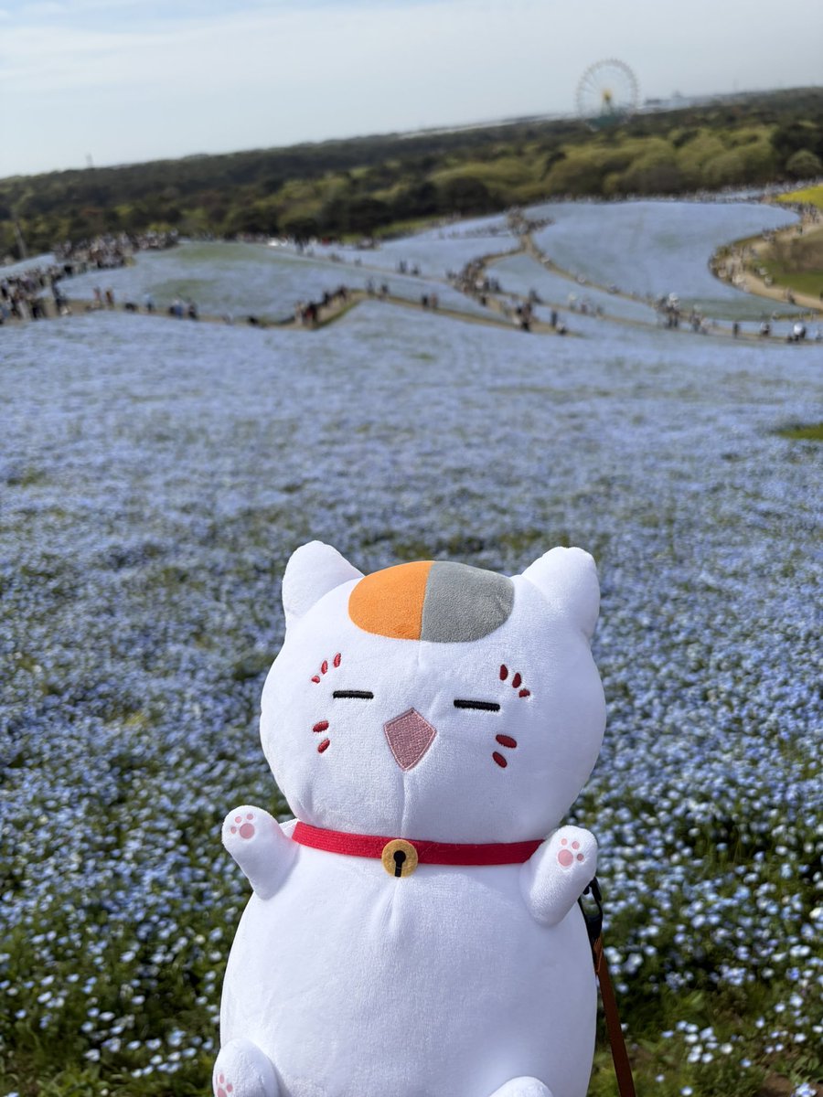 ゆん⭐️🪐/ゆんゆんちゃんねる tweet media