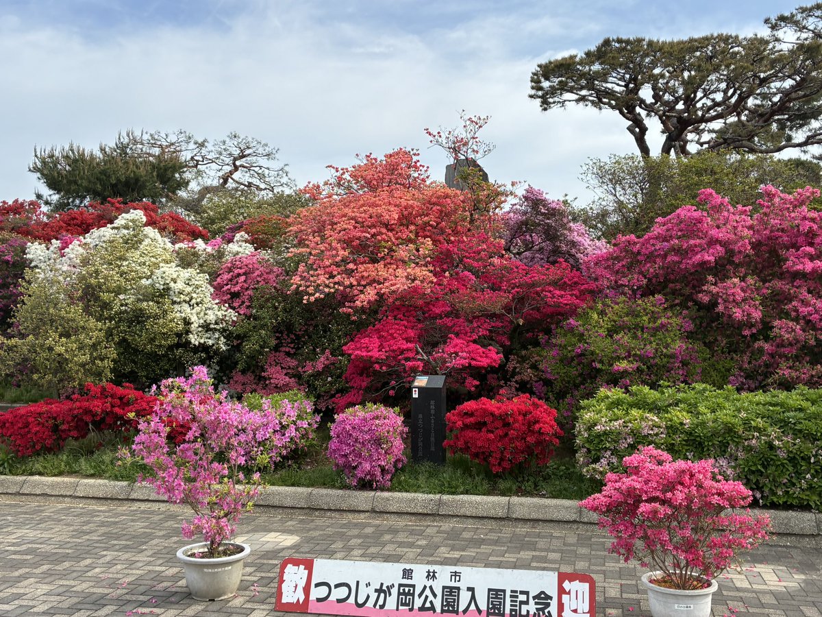 六分儀　暁(ろくぶんぎ　あかつき) tweet media