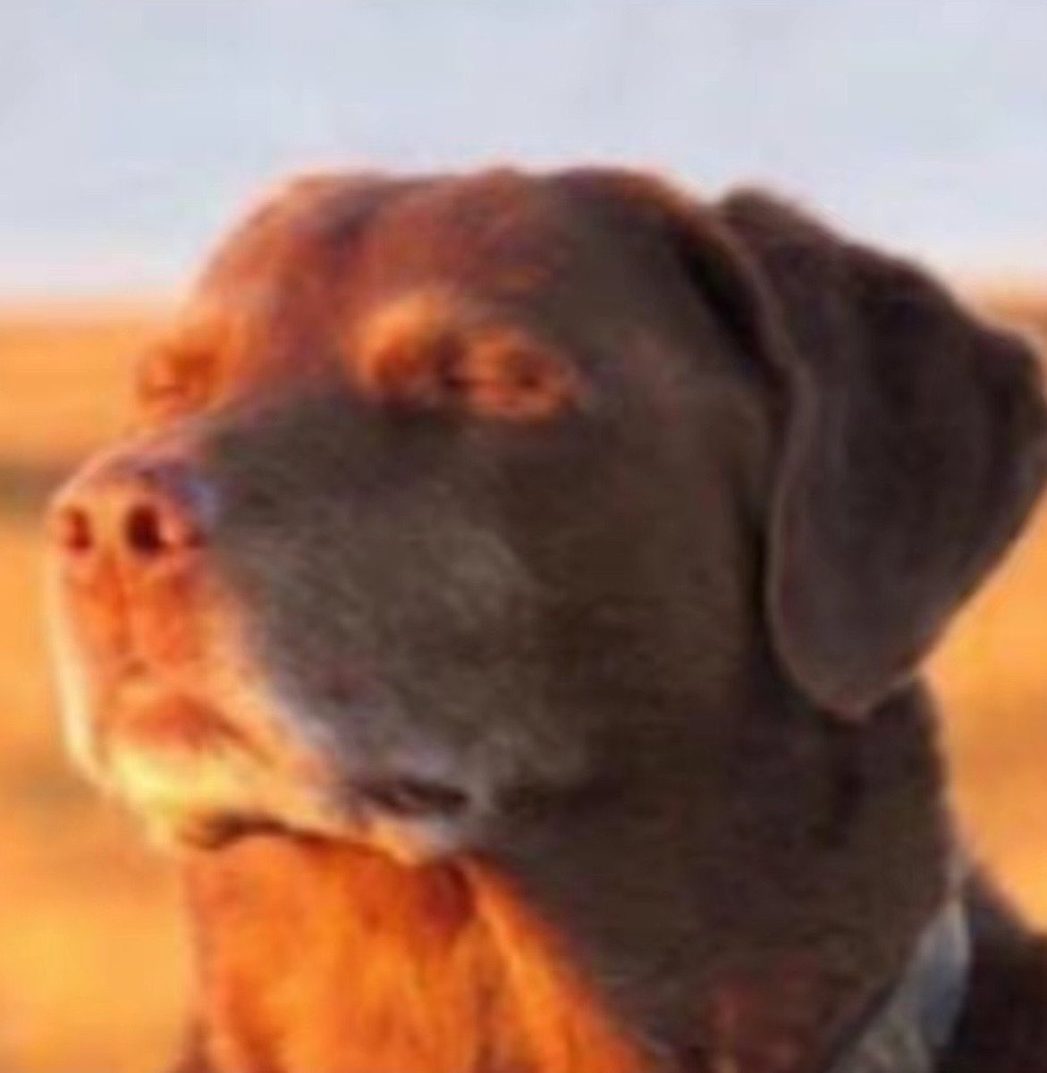 𝙎𝙆𝙍𝙍𝙏! tweet media