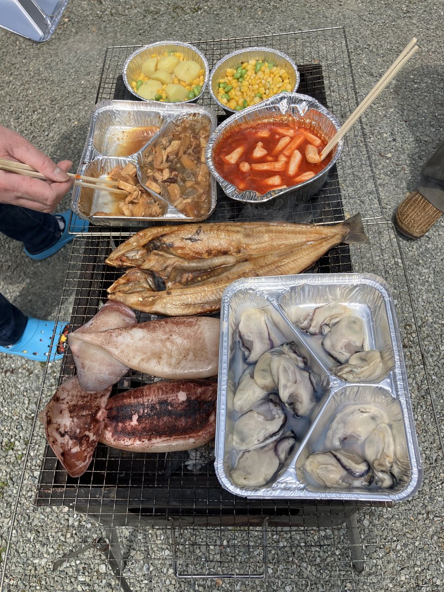 どらまる 🐾 tweet media