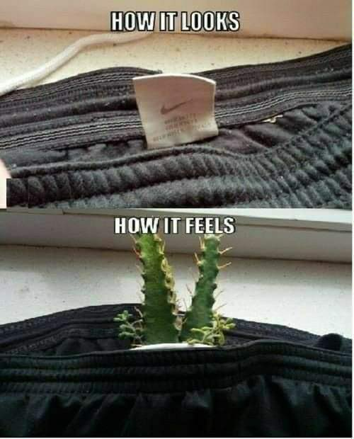 J🍩ey Bag 🍩f D🍩nuts 🍩 tweet media