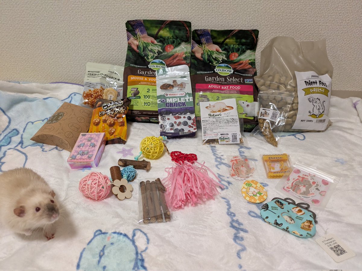 うーたんの生き物用垢 tweet media