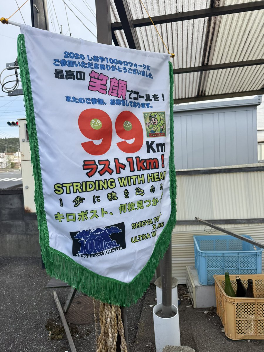 メジロ tweet media