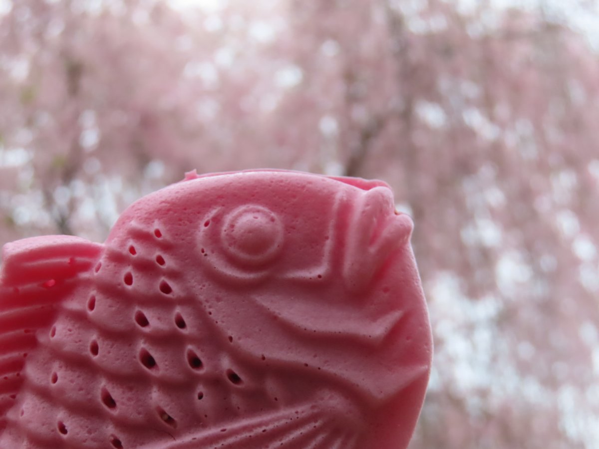 百島 純 tweet media