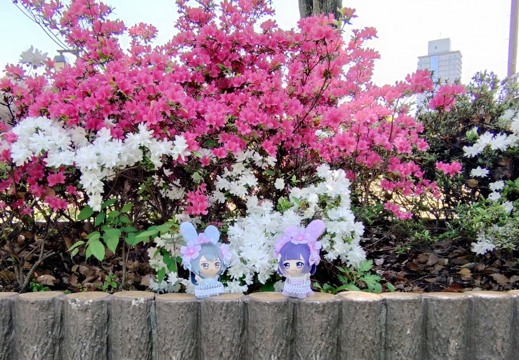 リソースあうる tweet media